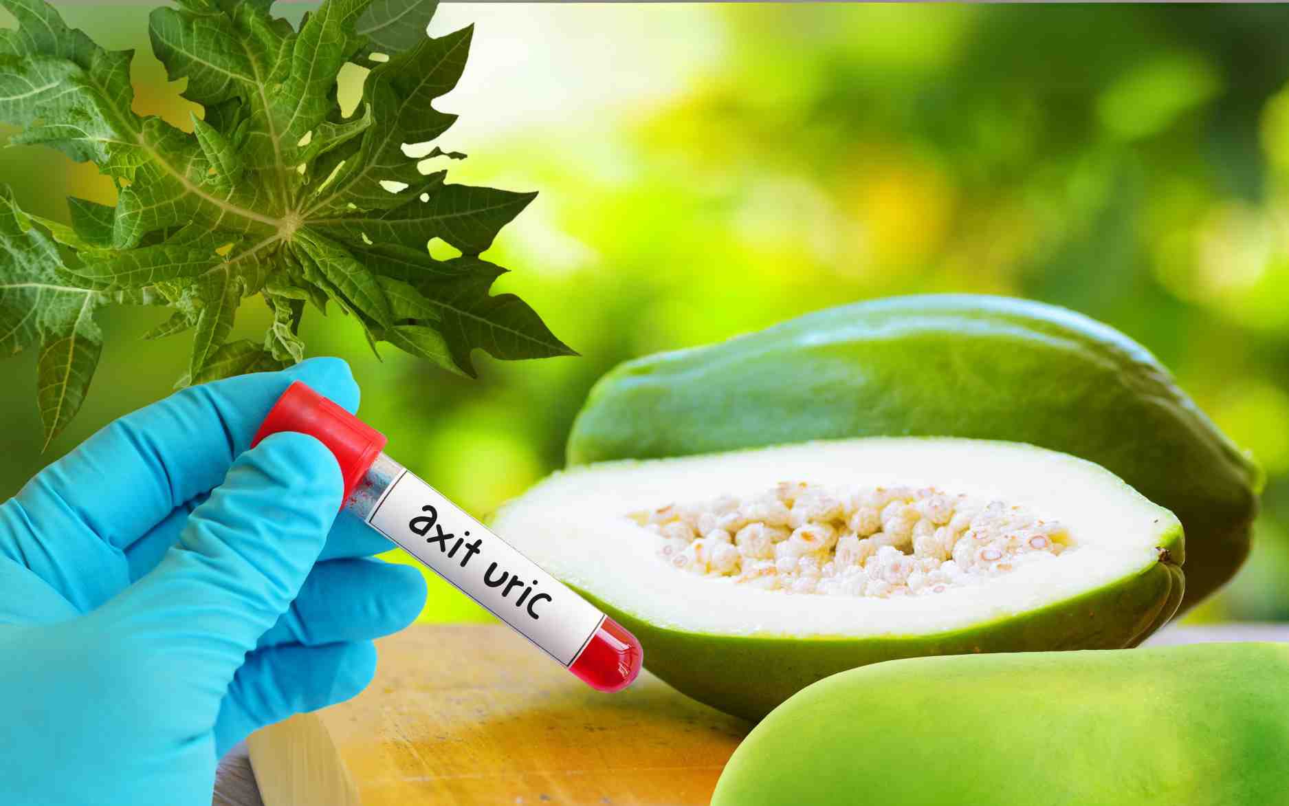 Cách dùng đu đủ xanh loại bỏ axit uric