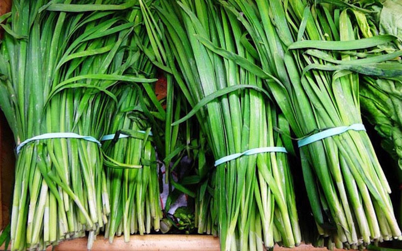 Tác dụng của rau hẹ với sức khỏe: Từ món ăn quen thuộc đến vị thuốc tự nhiên