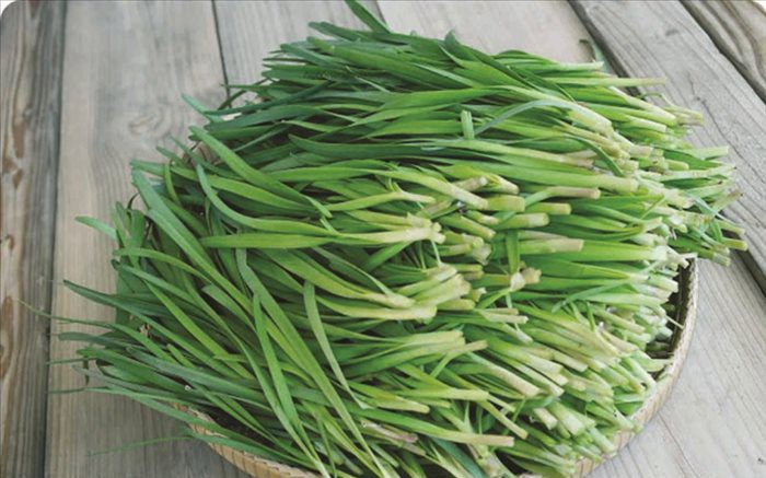 29 bài thuốc chữa bệnh từ cây rau hẹ