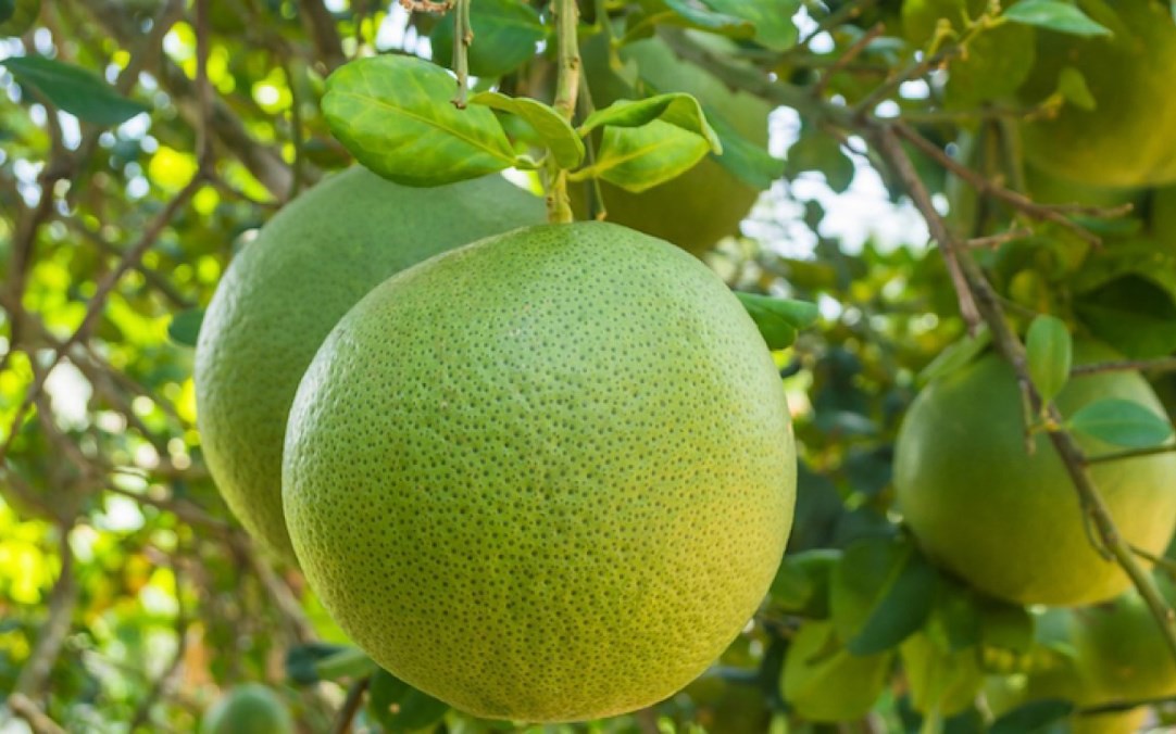 Tập thể dục buổi sáng có tốt cho người tăng huyết áp không?- Ảnh 3.