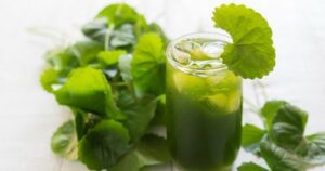 5 cách làm đẹp da từ rau má cực dễ