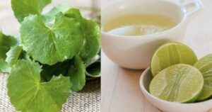 Mẹo chữa nám da từ rau má