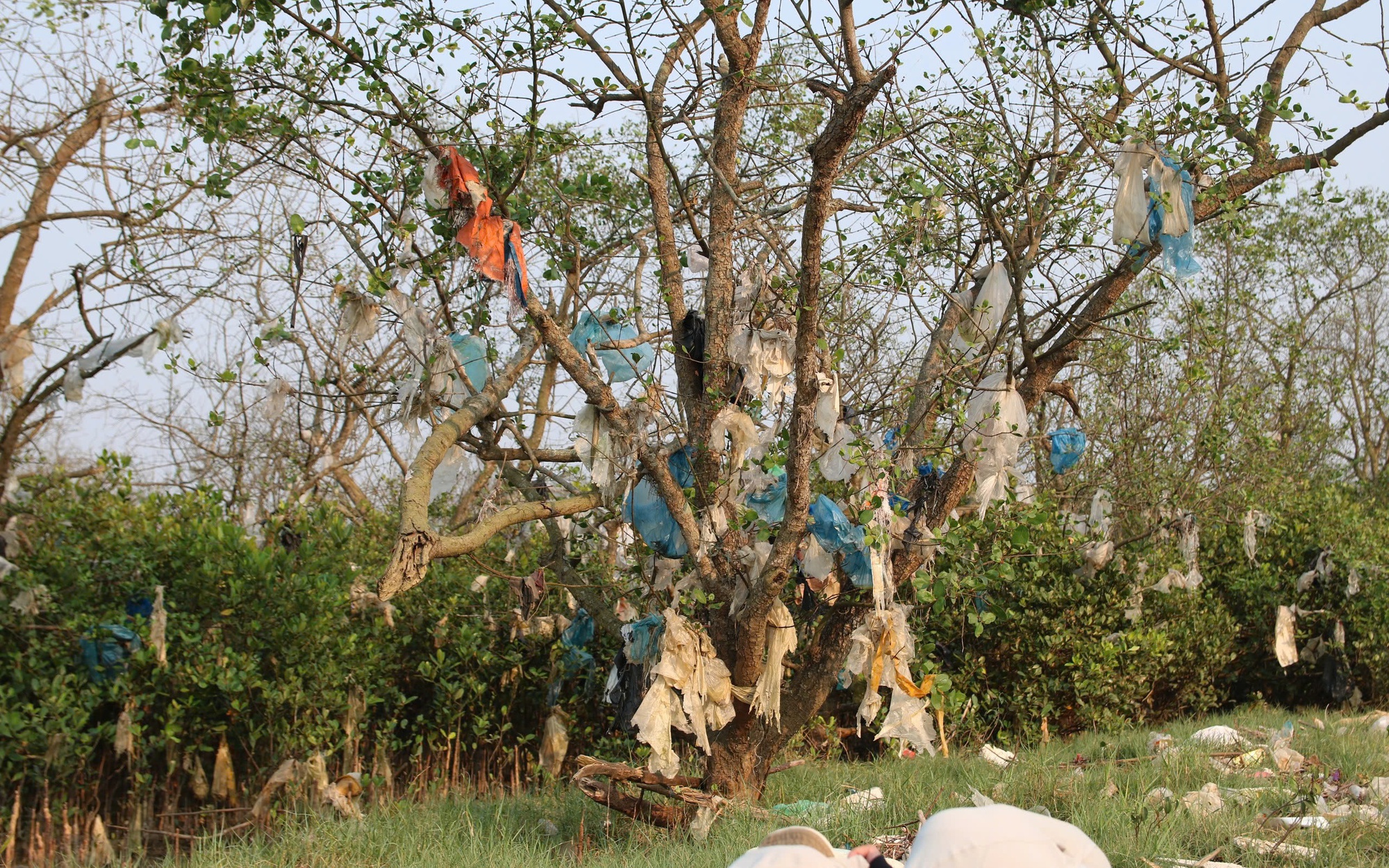 Người dân ngột ngạt khi bãi rác rộng 2 ha cháy âm ỉ cả tuần- Ảnh 12.