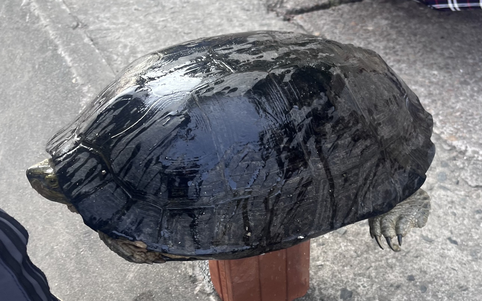 Phát hiện liên tiếp 4 vụ nuôi trồng thủy sản trái phép trên Vịnh Hạ Long
- Ảnh 3.