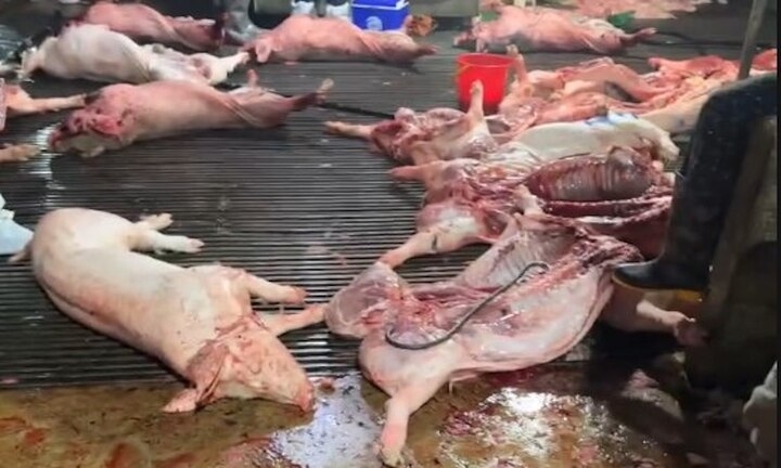 Thịt lợn bẩn 'chễm chệ' trong bữa ăn học đường báo động an toàn xã hội- Ảnh 1.