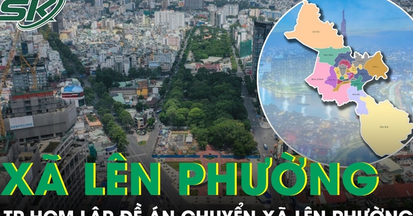 TPHCM lập đề án chuyển xã lên phường: Quy trình 9 bước, hoàn thành trước 15/6