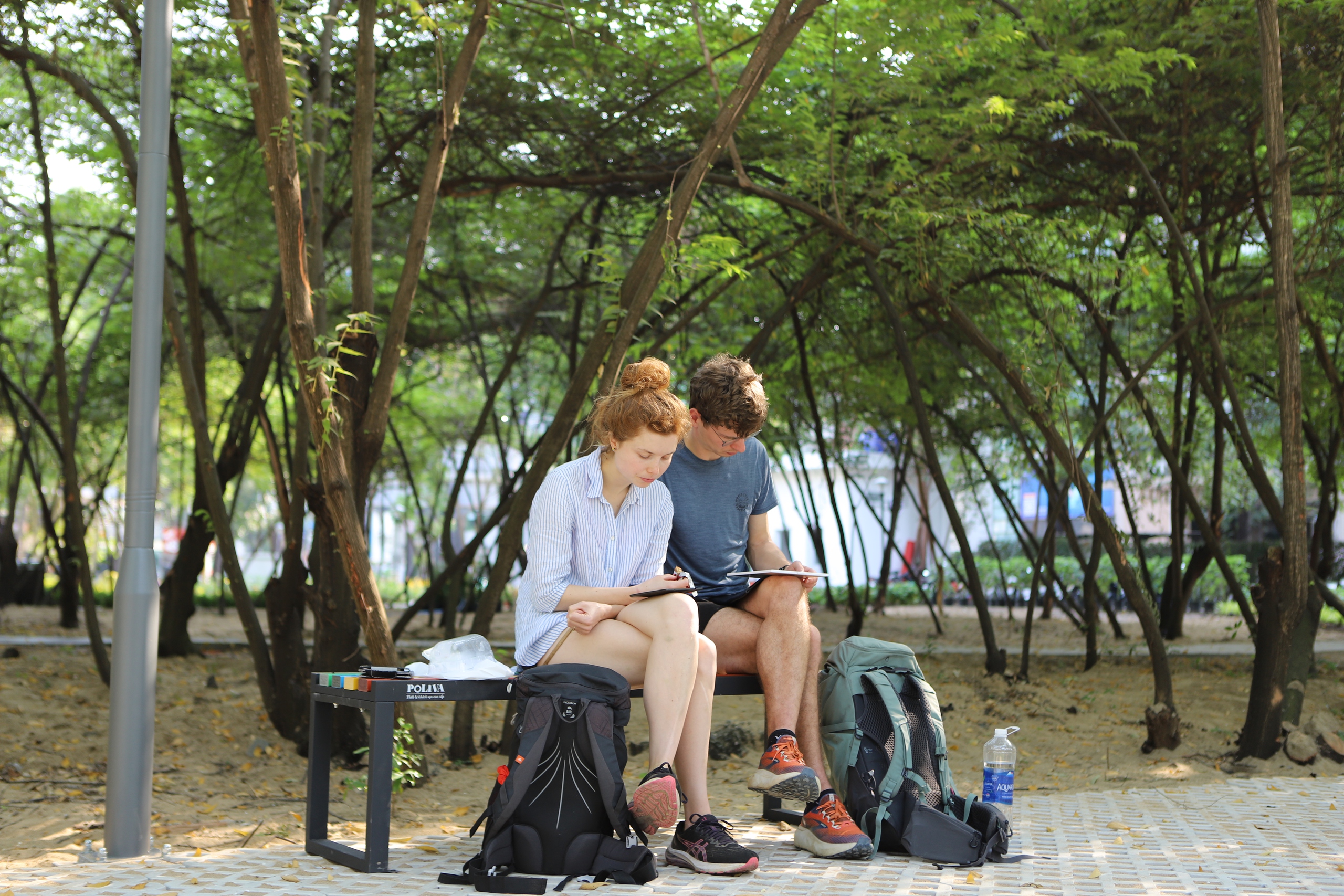 TPHCM duy trì các công trình cảnh quan trên đất chưa triển khai dự án- Ảnh 3.