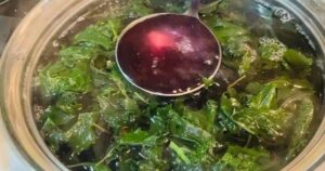 4 cách nấu nước lá tía tô hỗ trợ giảm cân, đẹp da và tốt cho sức khỏe