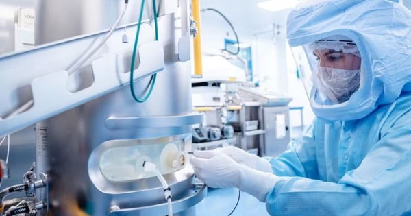 Phương pháp hỗ trợ điều trị ung thư bằng cấy ghép vi sinh đường ruột