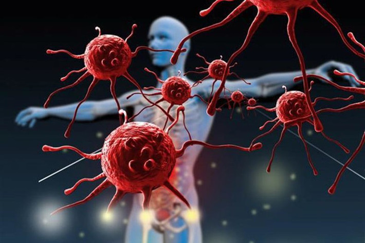 Ung thư có thể xuất hiện ở bất kỳ cơ quan nào trong cơ thể, nhưng một số bộ phận có nguy cơ cao hơn