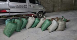 Buôn bán gần 900kg vảy tê tê cực kỳ quý hiếm, lĩnh án 8 năm tù