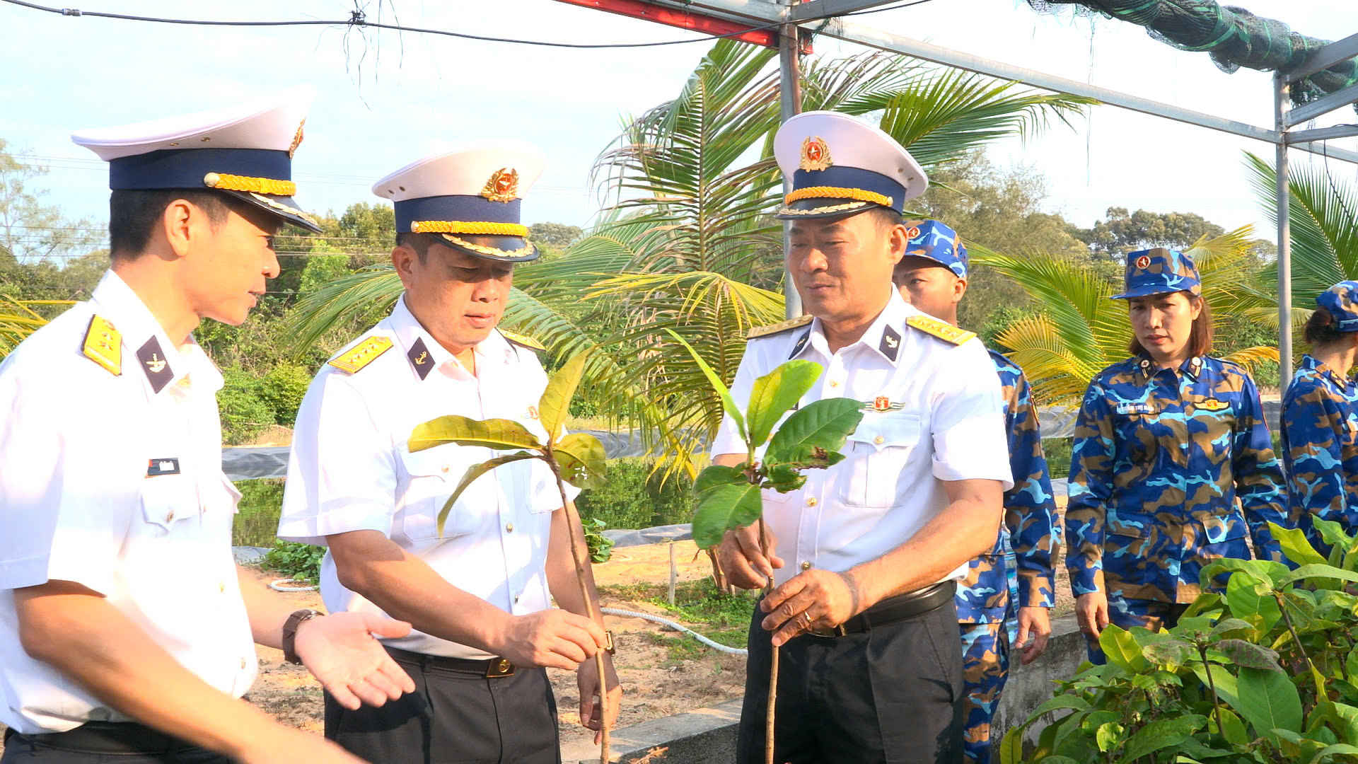 Nâng chất lượng trồng cây, từng bước phủ xanh Trường Sa- Ảnh 2.