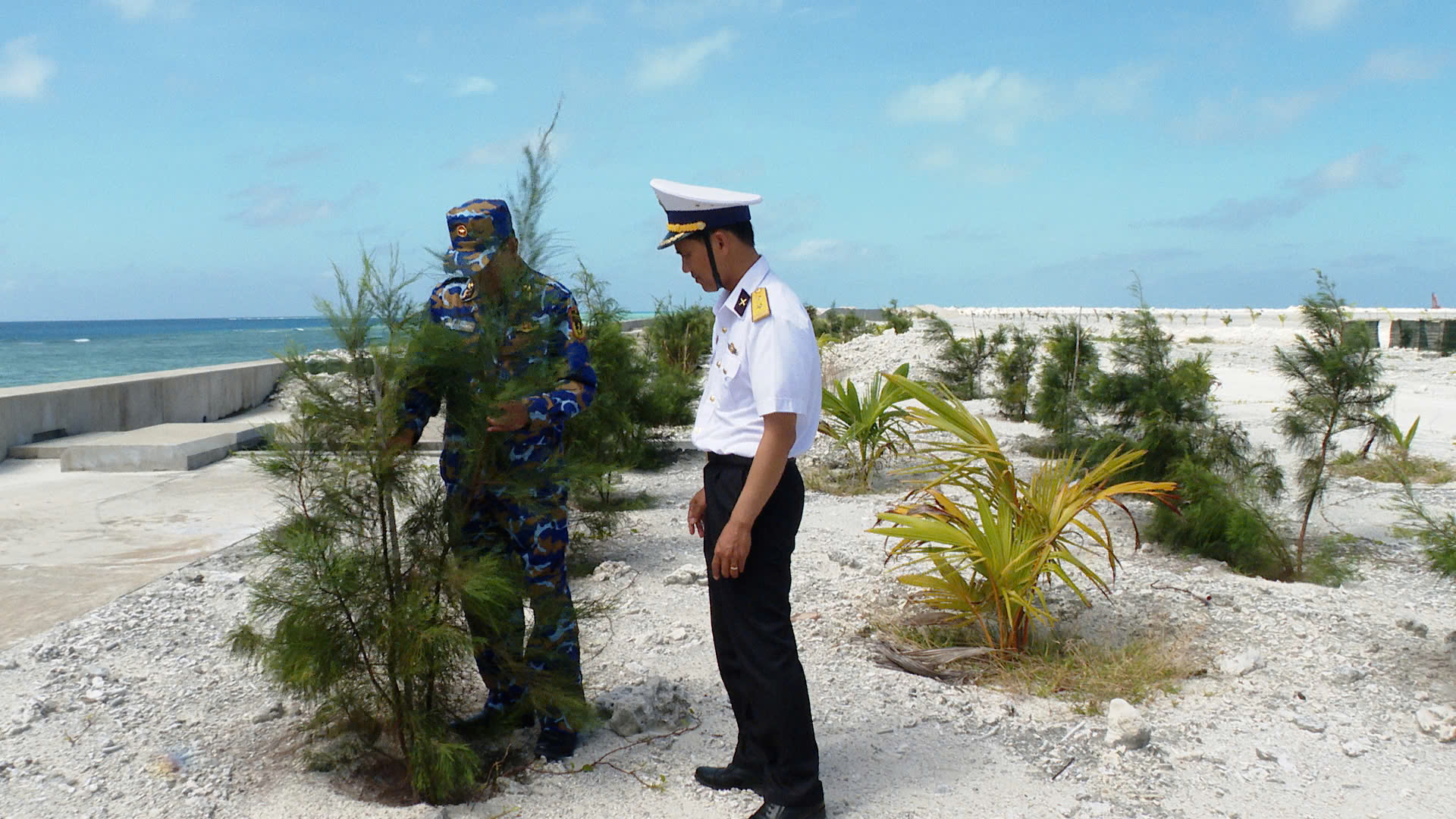 Nâng chất lượng trồng cây, từng bước phủ xanh Trường Sa- Ảnh 4.