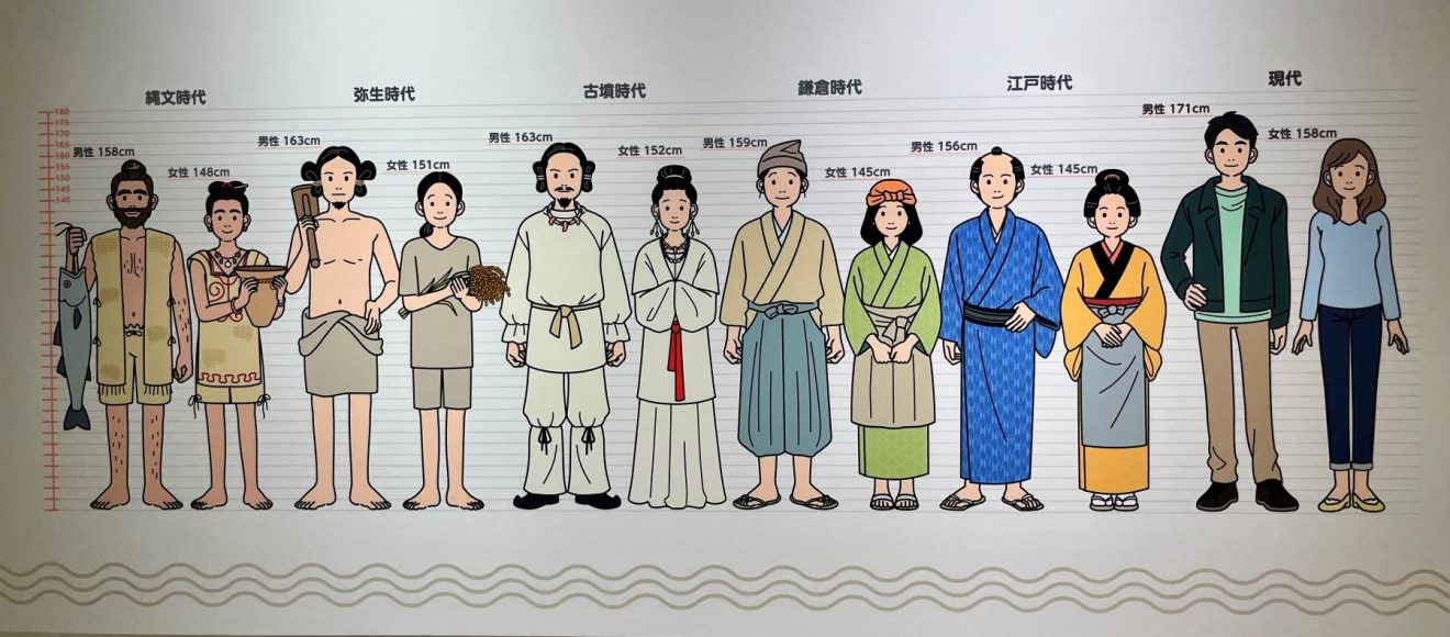 Khám phá chấn động về DNA có thể viết lại lịch sử Nhật Bản- Ảnh 2.