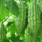 Dược thiện từ rau củ hỗ trợ ổn định huyết áp, mỡ máu và đường huyết