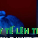 Bộ Y tế thông tin về chủng virus Hanta đang được WHO cảnh báo
