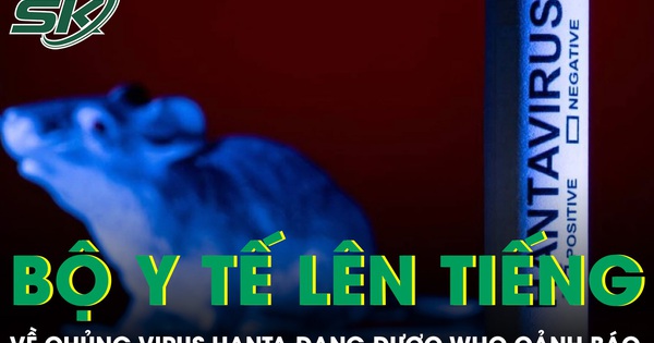 Bộ Y tế thông tin về chủng virus Hanta đang được WHO cảnh báo