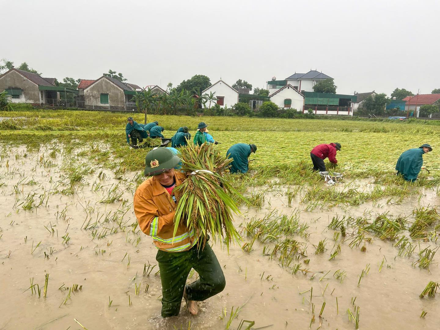Công an, bộ đội dầm mưa giúp dân cứu lúa sau dông lốc ở Nghệ An
- Ảnh 2.