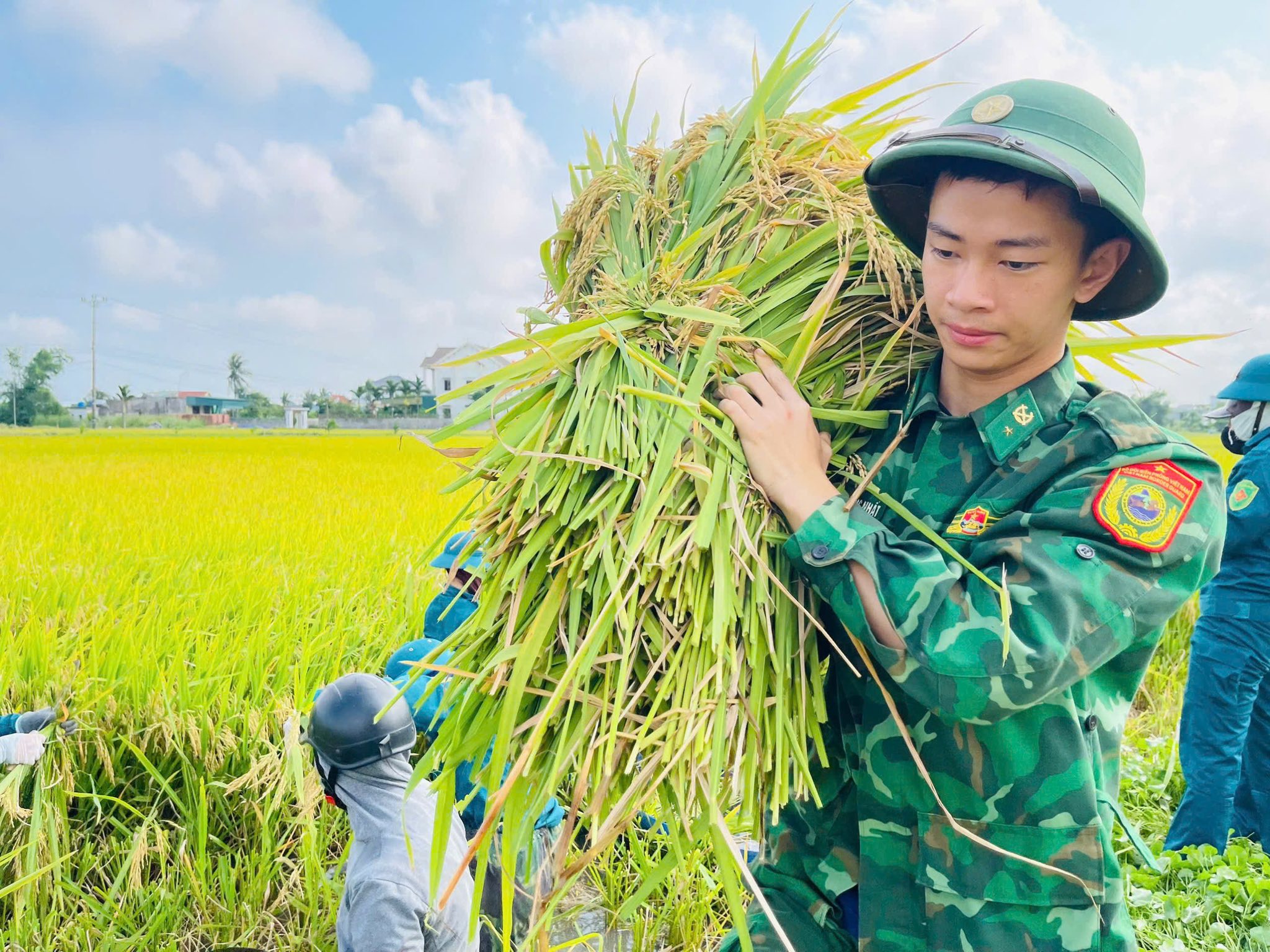 Công an, bộ đội dầm mưa giúp dân cứu lúa sau dông lốc ở Nghệ An
- Ảnh 4.