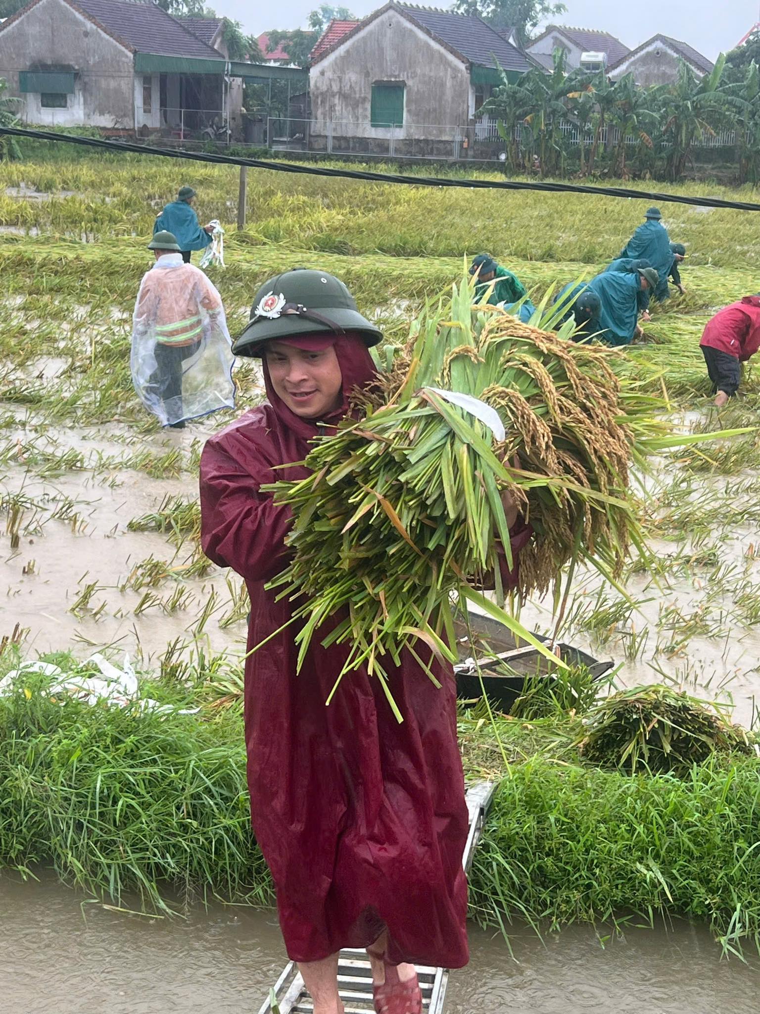 Công an, bộ đội dầm mưa giúp dân cứu lúa sau dông lốc ở Nghệ An
- Ảnh 5.