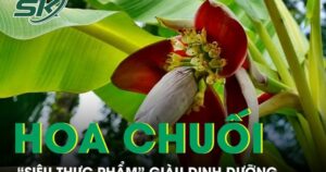 Hoa chuối giúp giảm mỡ máu, ổn định đường huyết và tốt cho hệ tiêu hóa