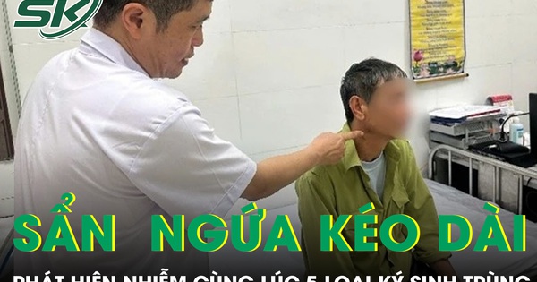 Ngứa suốt nửa năm, người đàn ông phát hiện nhiễm cùng lúc 5 loại ký sinh trùng