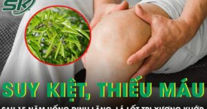 Người đàn ông không thể đi lại sau 15 năm uống đinh lăng, lá lốt trị xương khớp