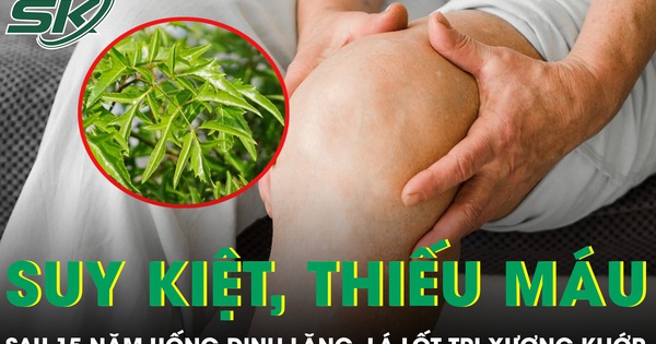 Người đàn ông không thể đi lại sau 15 năm uống đinh lăng, lá lốt trị xương khớp