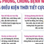 Chủ động phòng, chống bệnh Whitmore trong điều kiện thời tiết cực đoan