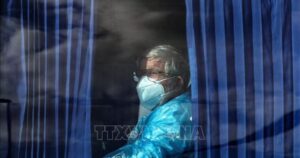 Hà Lan cách ly 12 nhân viên y tế do không tuân thủ quy trình chăm sóc bệnh nhân nhiễm virus Hanta