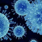 Hơn 1.700 người bị cách ly trên du thuyền sau khi 1 trường hợp tử vong do nghi nhiễm norovirus