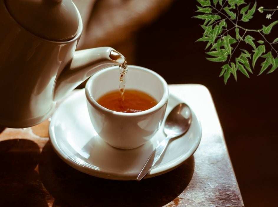 Uống lá đinh lăng hàng ngày có tốt không?- Ảnh 2.