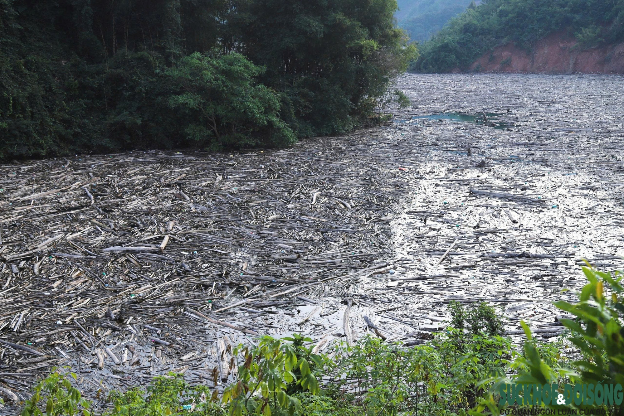 Hơn 30.000m3 rác phủ kín lòng hồ thủy điện Bản Vẽ, Nghệ An chỉ đạo xử lý- Ảnh 2.