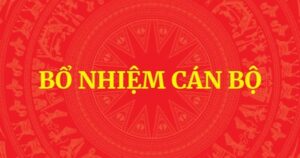 Điều động, bổ nhiệm Trợ lý Thủ tướng và Trợ lý Phó Thủ tướng Thường trực Chính phủ