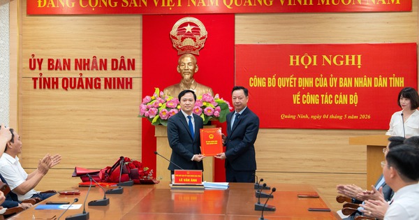 Quảng Ninh bổ nhiệm hàng loạt cán bộ chủ chốt: Ông Bùi Mạnh Hùng giữ chức Giám đốc Sở Y tế