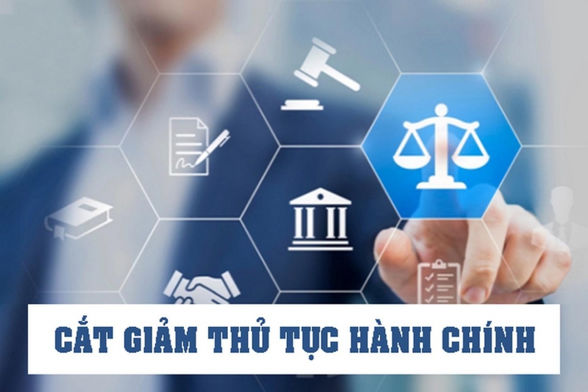 Thủ tướng yêu cầu khẩn trương cắt giảm, phân cấp thủ tục hành chính trước 20/5- Ảnh 1.