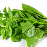 5 vị thuốc quen thuộc giúp giảm nóng trong, táo bón mùa hè