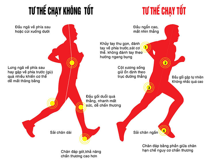 Chạy bền có giúp đốt cháy mỡ thừa nhanh hơn bài tập cường độ cao?- Ảnh 1.