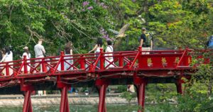 Chim hoang tạo khung cảnh yên bình giữa phố thị Hà Nội