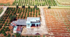 Thủ tục chuyển đất trồng cây lâu năm sang đất ở theo quy định mới