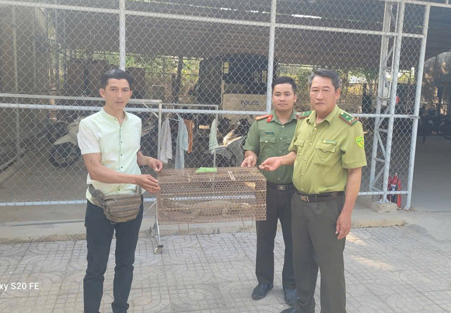 Phát hiện động vật quý hiếm trên rẫy, cả nhà mang nộp cho công an- Ảnh 2.