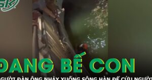 Khoảnh khắc nghẹt thở: Đang đi dạo cùng vợ con, người đàn ông nhảy xuống sông Hàn cứu người