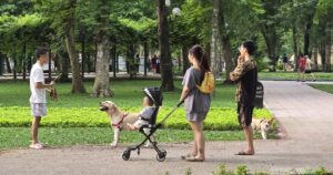 Dạo công viên trong nỗi thấp thỏm vì chó không rọ mõm