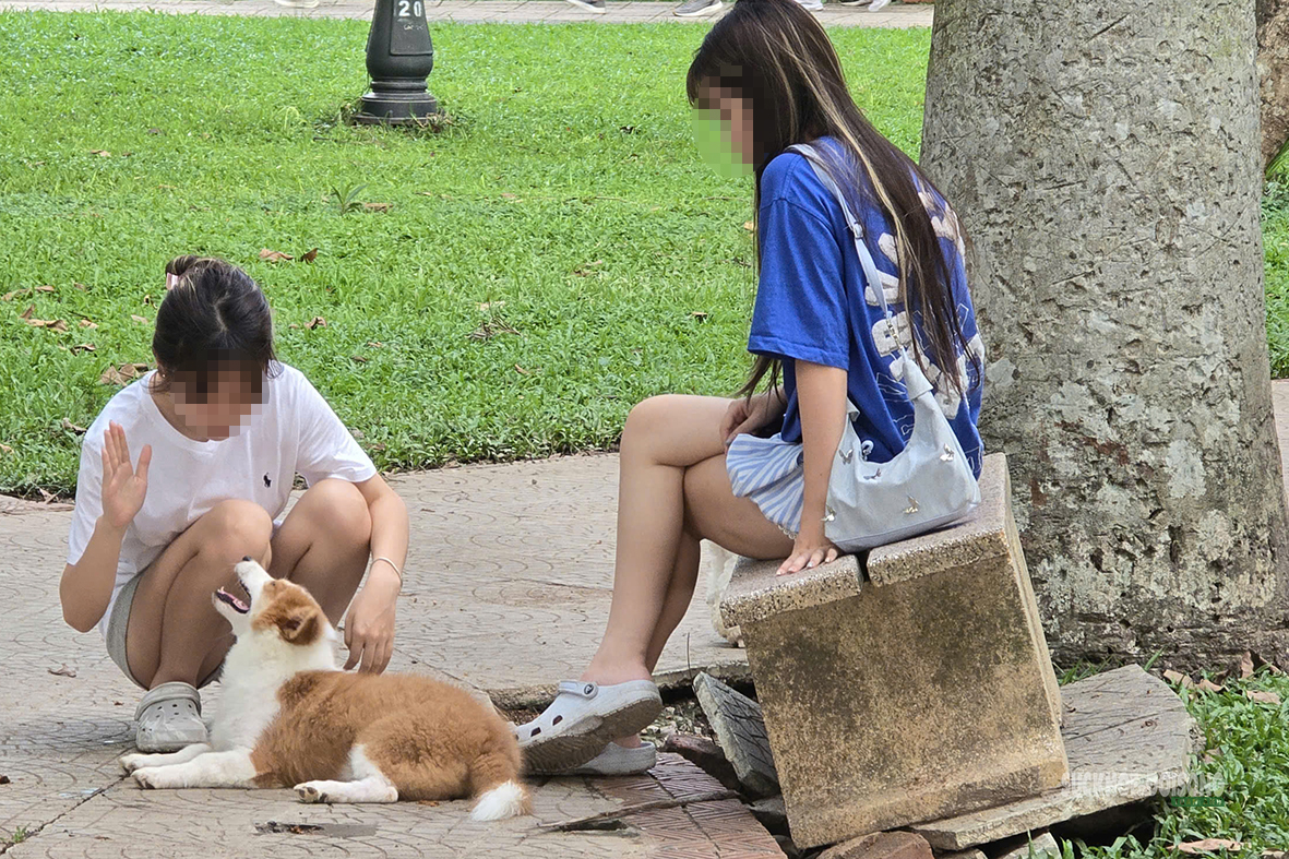 Dạo công viên trong nỗi thấp thỏm vì chó không rọ mõm- Ảnh 7.