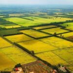 Bộ NN&MT giải đáp thời hạn sử dụng đất nông nghiệp không ghi trên sổ đỏ