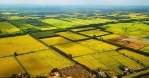 Bộ NN&MT giải đáp thời hạn sử dụng đất nông nghiệp không ghi trên sổ đỏ