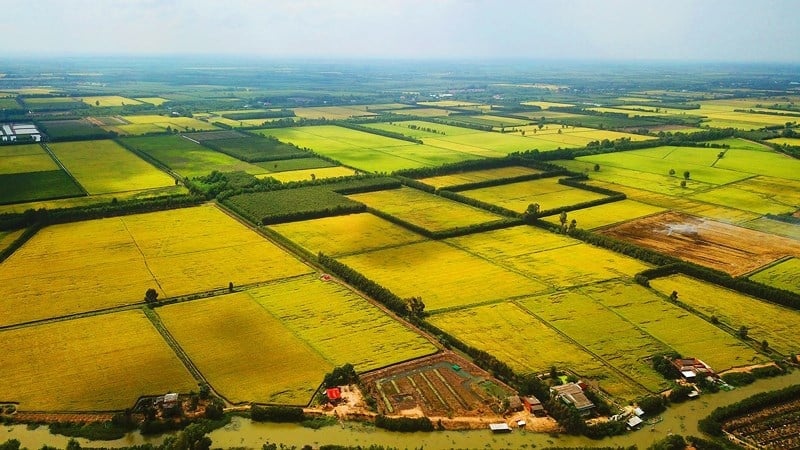 Bộ NN&MT giải đáp thời hạn sử dụng đất nông nghiệp không ghi trên sổ đỏ- Ảnh 1.