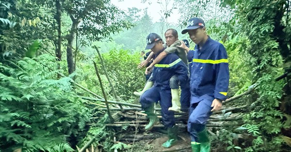 Hơn 300 người tìm kiếm nạn nhân mất tích khi đi hái dược liệu trong rừng ở Tuyên Quang