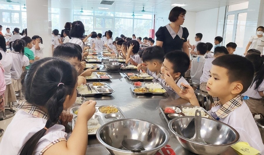 Tiêu chuẩn của WHO giúp giải bài toán dinh dưỡng học đường- Ảnh 1.