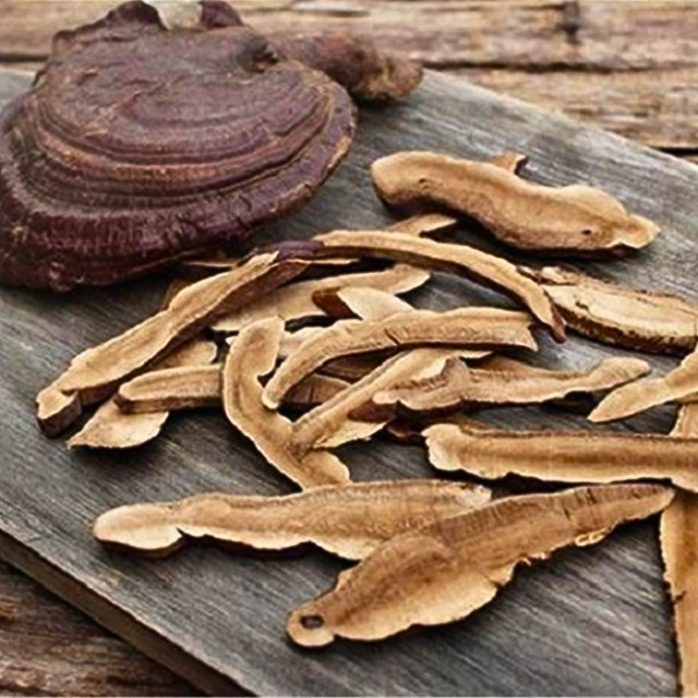 Nấm linh chi dạng thái lát hay dạng bột: Loại nào tốt hơn, dùng thế nào cho đúng?- Ảnh 2.